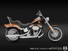 Harley-Davidson Harley Davidson FXSTC Softail Custom ANV 105th Anniversary